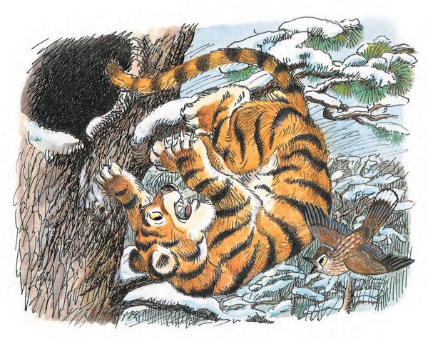 ������ ��� ������ ������